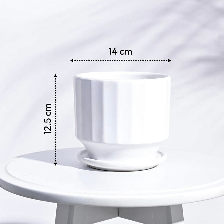 Ceramic Flower Planter - Fluted White with attached Plate