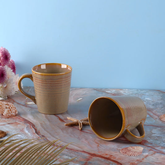 Aranya Daily Glossy Stoneware Mugs - Pack of 2