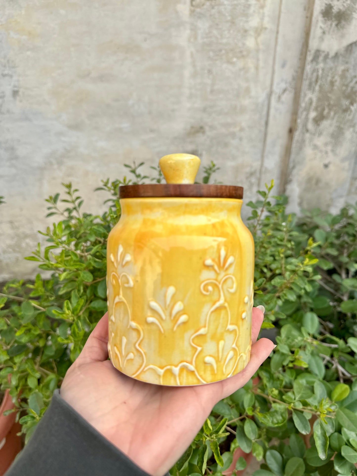 Embossed Grapevine Airtight Ceramic Jars