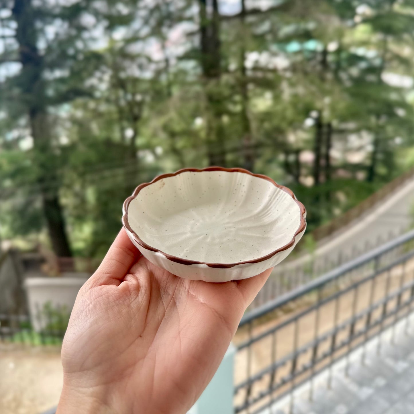 Nira Scalloped Mini Tapas Bowls - Set of 2