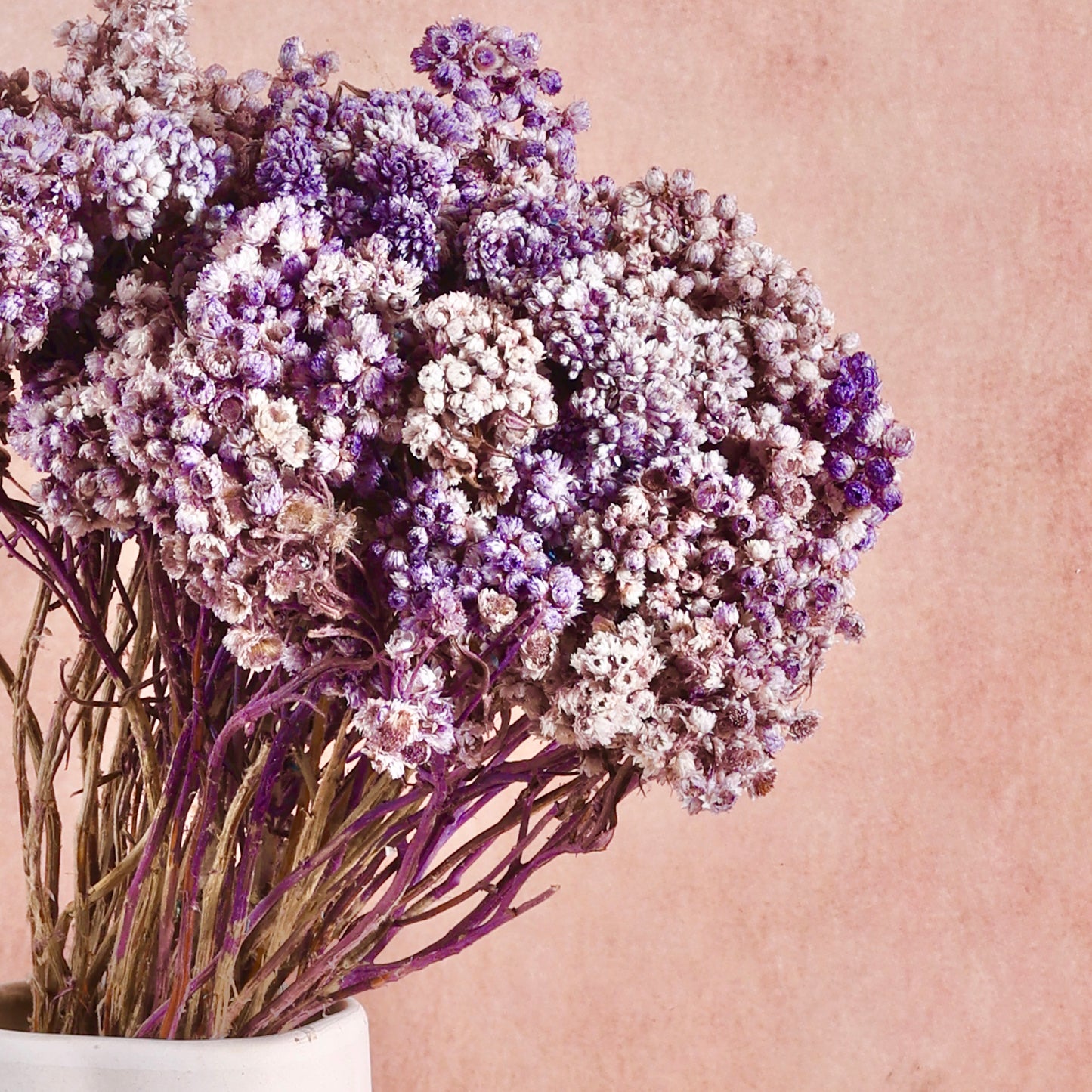 Lavender Hush - Eternal Bloom Bundle