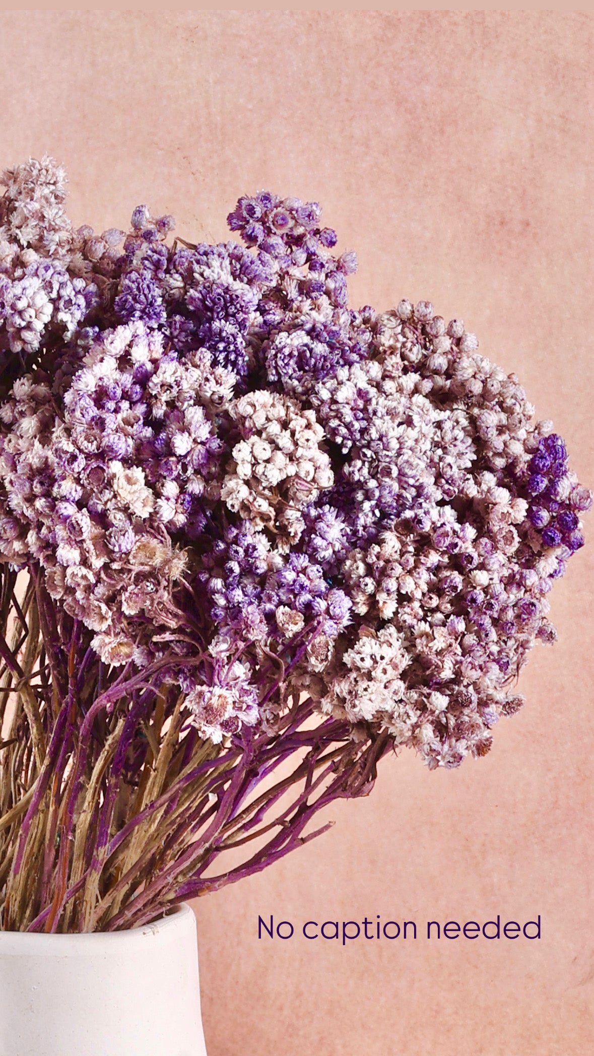 Lavender Hush - Eternal Bloom Bundle