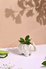 Elephant Planter Small