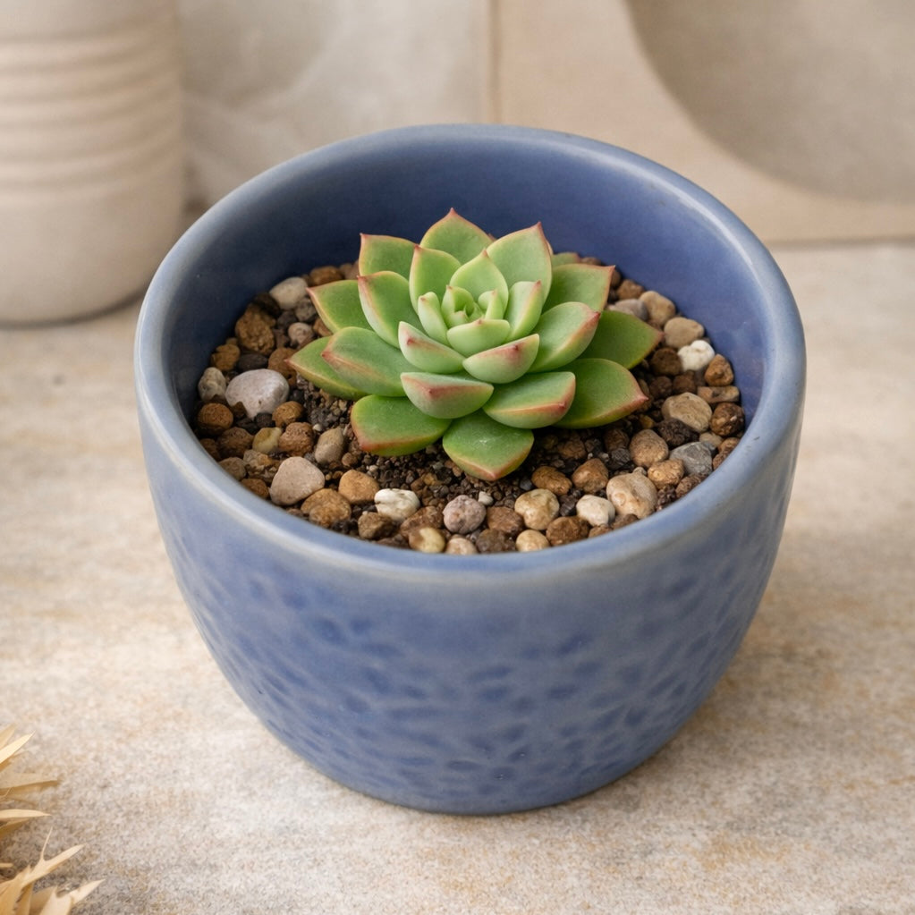 Blue Embossed Planter Small