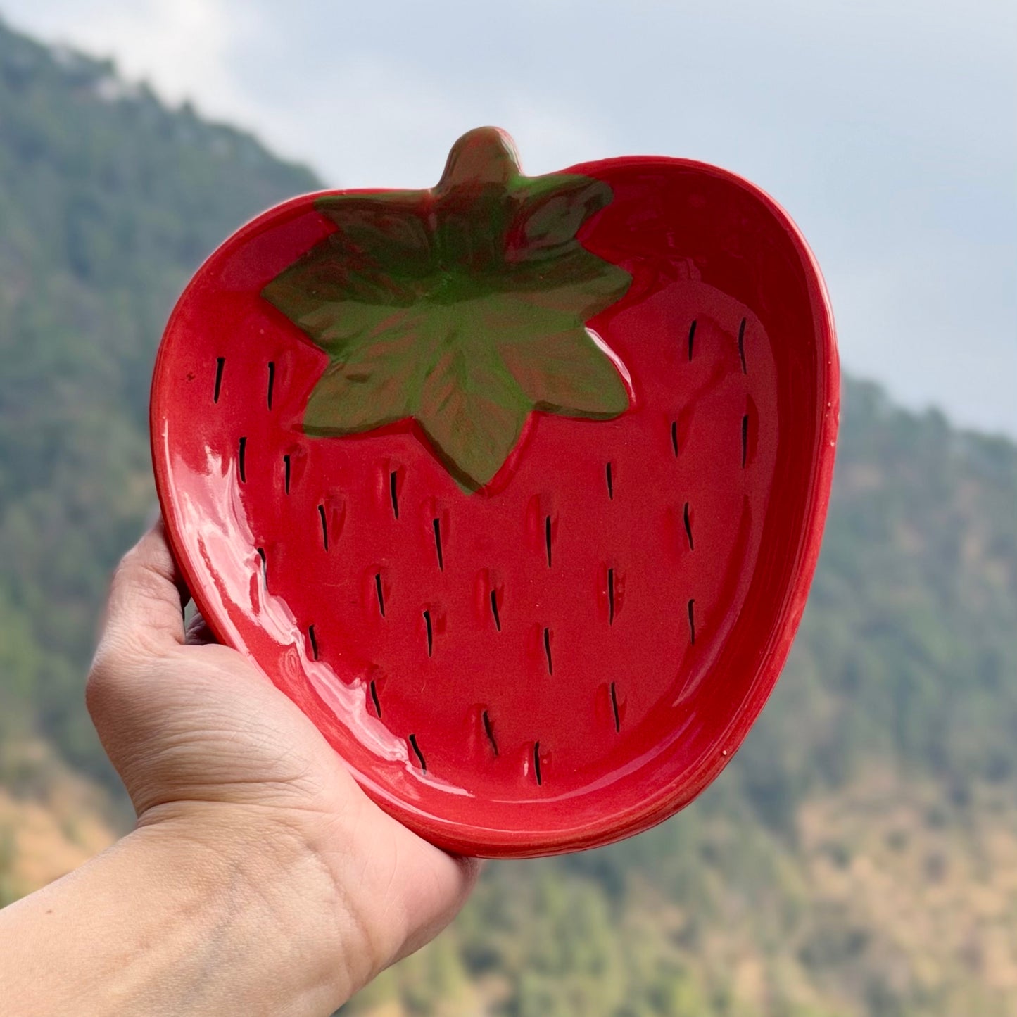 Strawberry Fields All Purpose Snack Plate