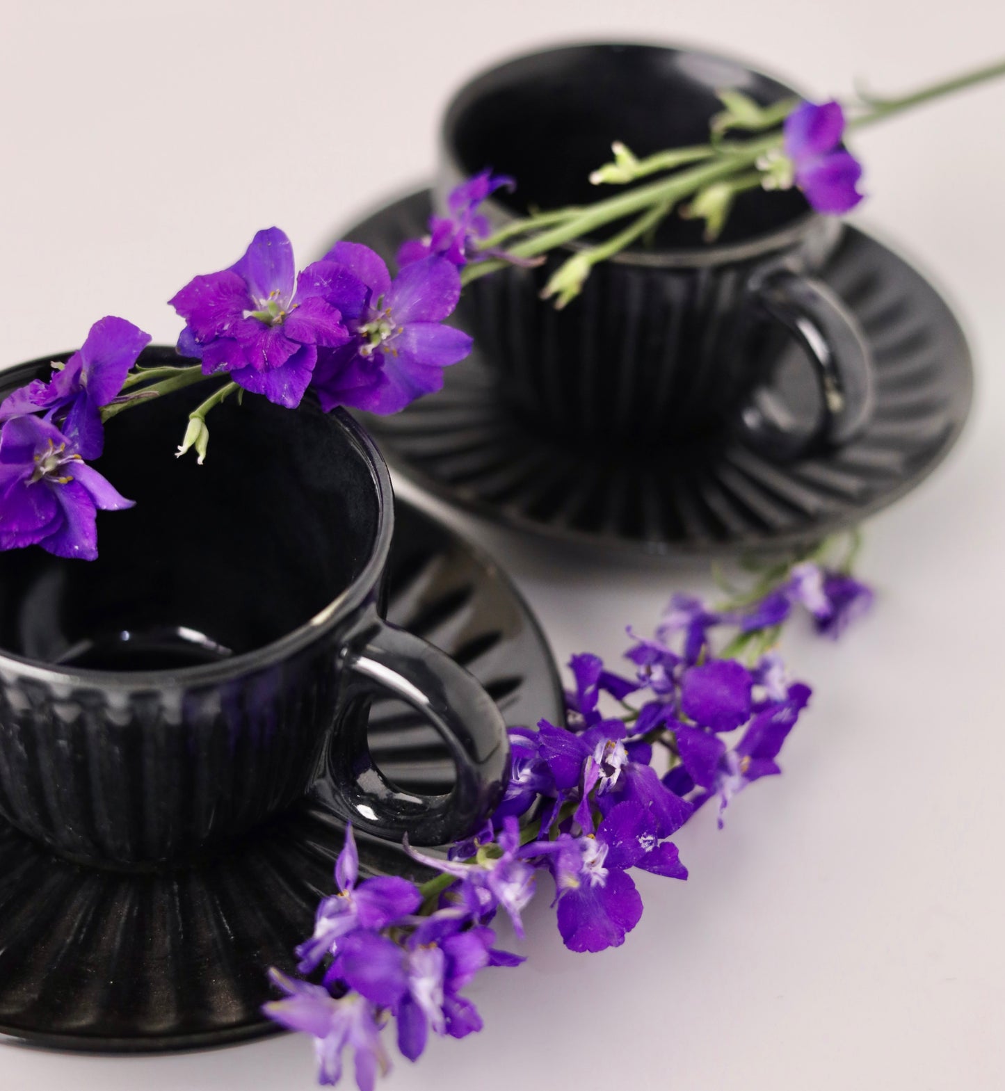 Garden Tea Party Black Cup and Saucer